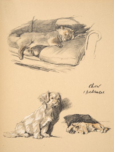 Chow and Pekinese, 1930, Illustrations from His Sketch Book Used for 